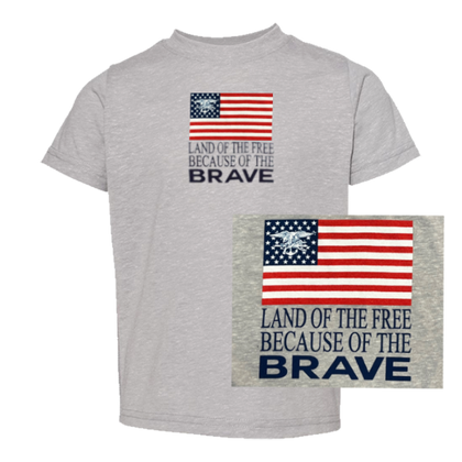 Brave Toddler Grey Melange T-shirt