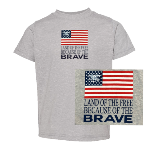 Brave Toddler Grey Melange T-shirt