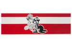 Red/White/Blue UDT-SEAL Association License Plate Frame